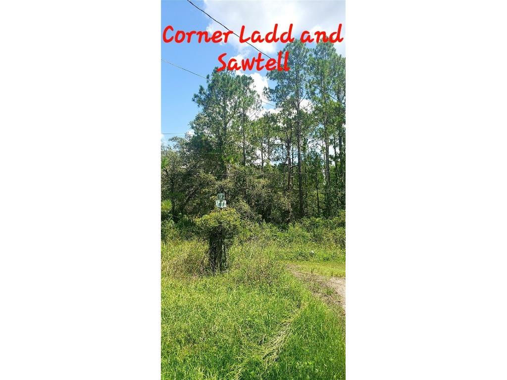 0 Ladd Avenue New Port Richey FL 34654 W7876691 image5