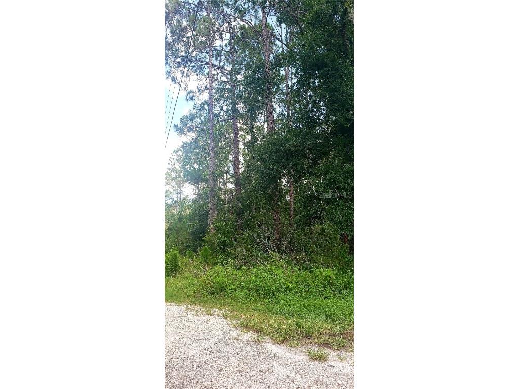 0 Ladd Avenue New Port Richey FL 34654 W7876691 image6