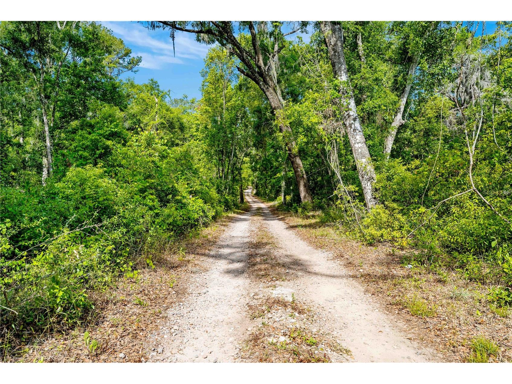 0 Lager Street Brooksville FL 34602 W7884980 image1