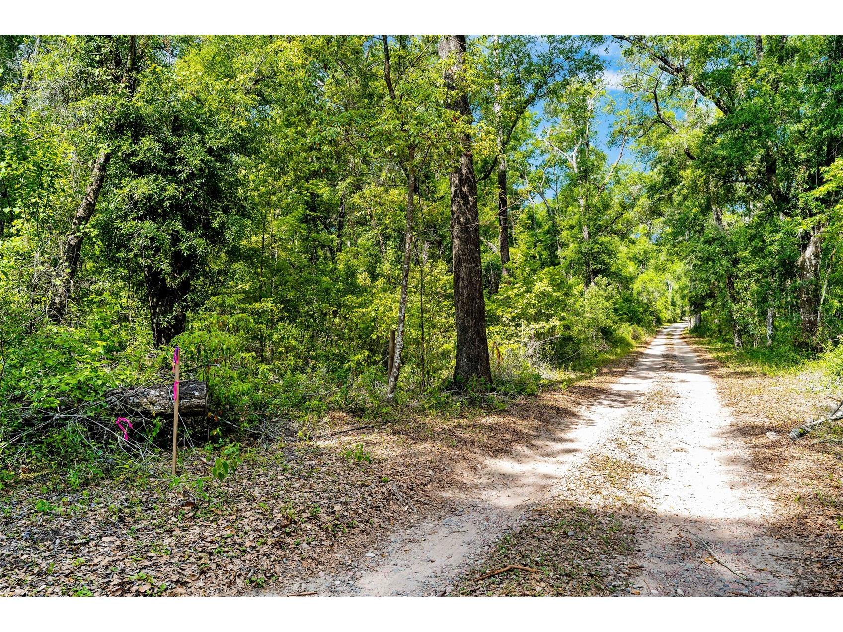 0 Lager Street Brooksville FL 34602 W7884980 image3