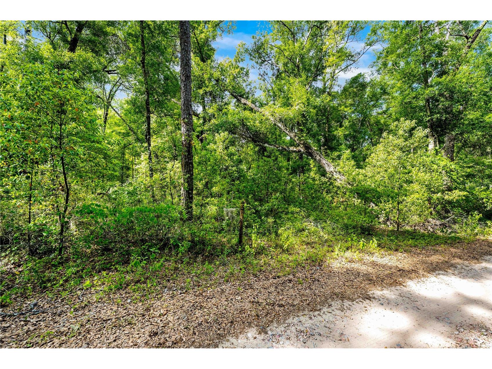 0 Lager Street Brooksville FL 34602 W7884980 image4