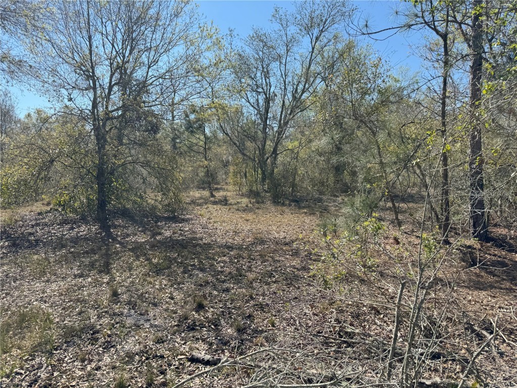 0 Lake Buffum Road Lake Wales FL 33859 TB8438499 image13