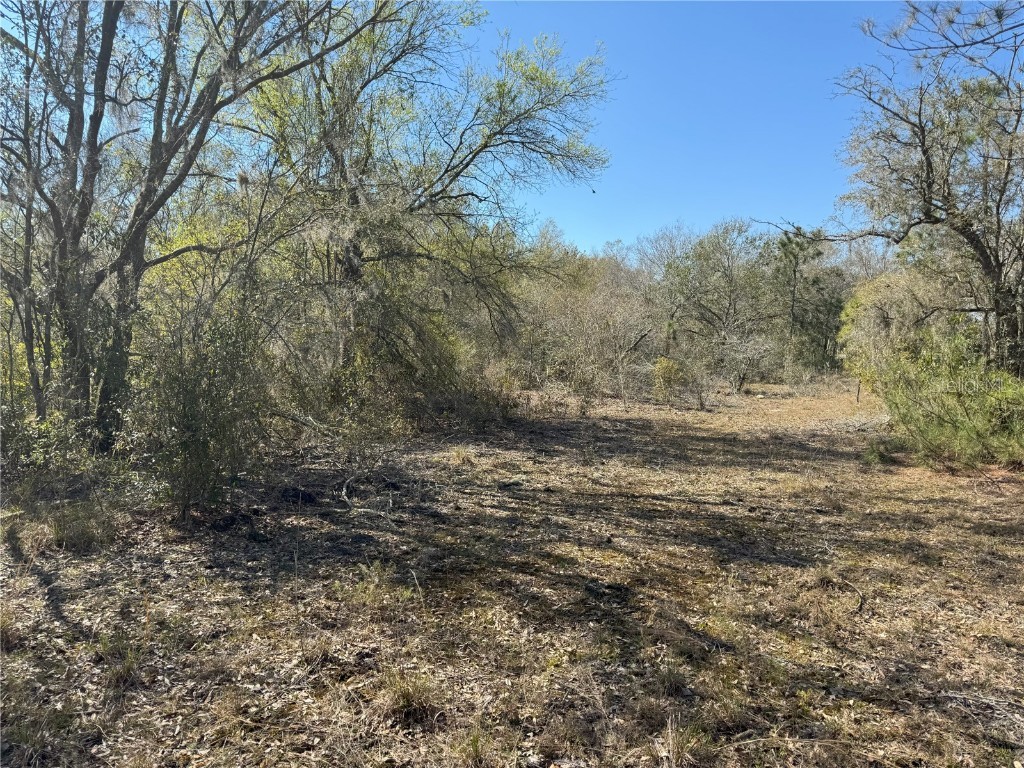 0 Lake Buffum Road Lake Wales FL 33859 TB8438499 image14