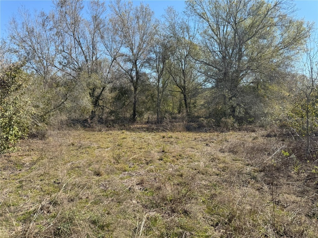 0 Lake Buffum Road Lake Wales FL 33859 TB8438499 image15