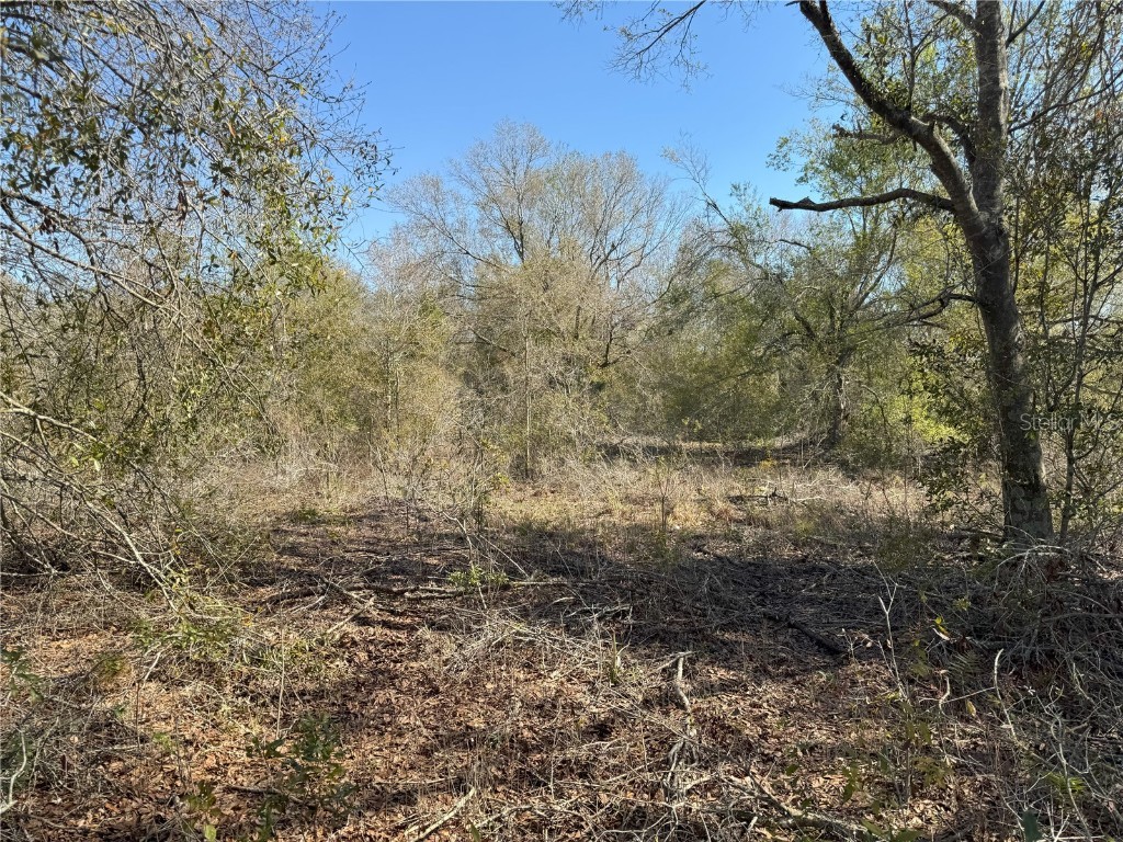 0 Lake Buffum Road Lake Wales FL 33859 TB8438499 image16