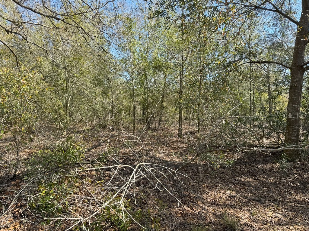 0 Lake Buffum Road Lake Wales FL 33859 TB8438499 image17