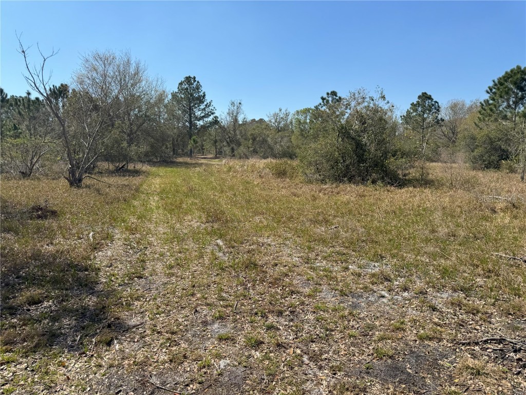 0 Lake Buffum Road Lake Wales FL 33859 TB8438499 image6