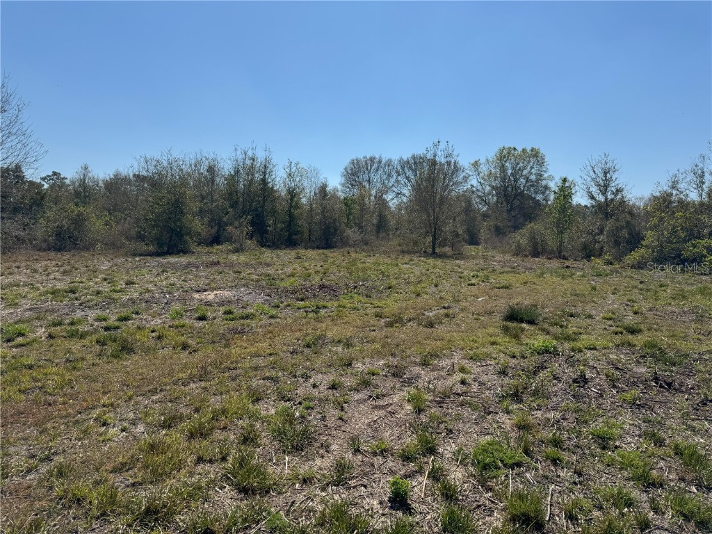 0 Lake Buffum Road Lake Wales FL 33859 TB8438499 image7