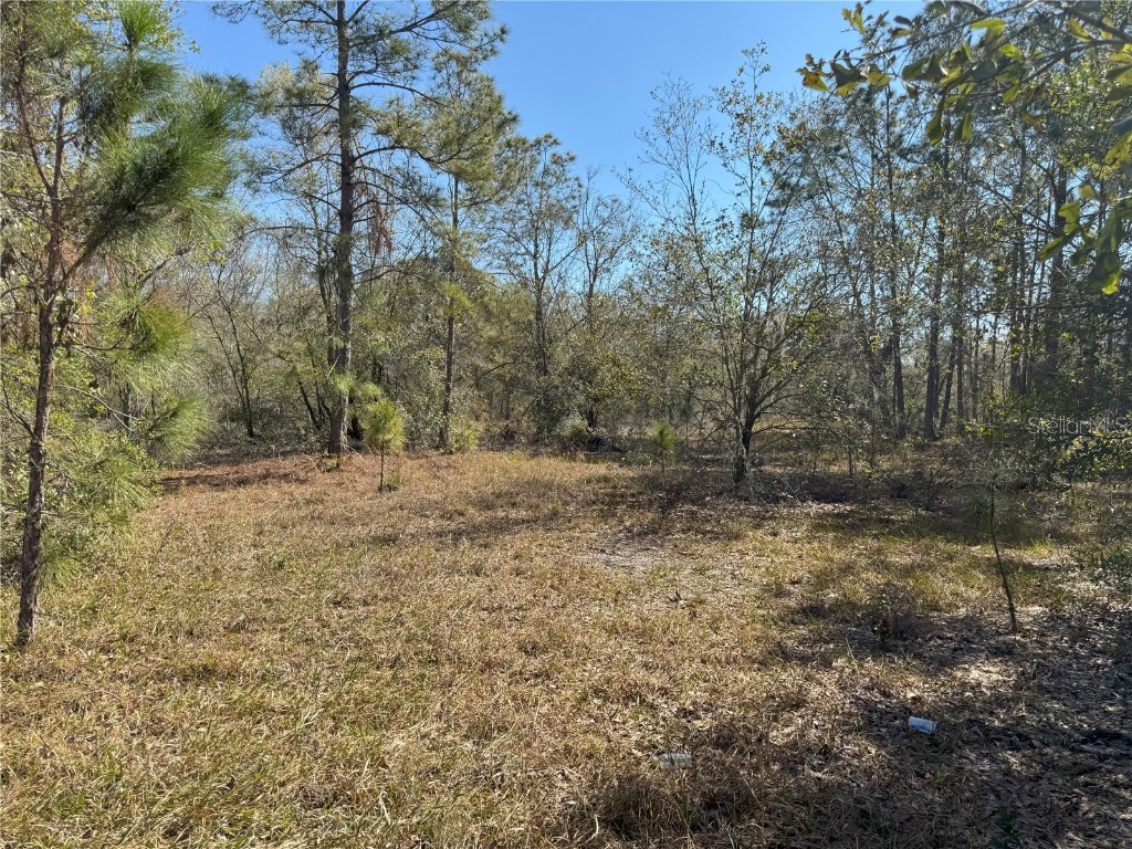 0 Lake Buffum Road Lake Wales FL 33859 TB8438499 image8