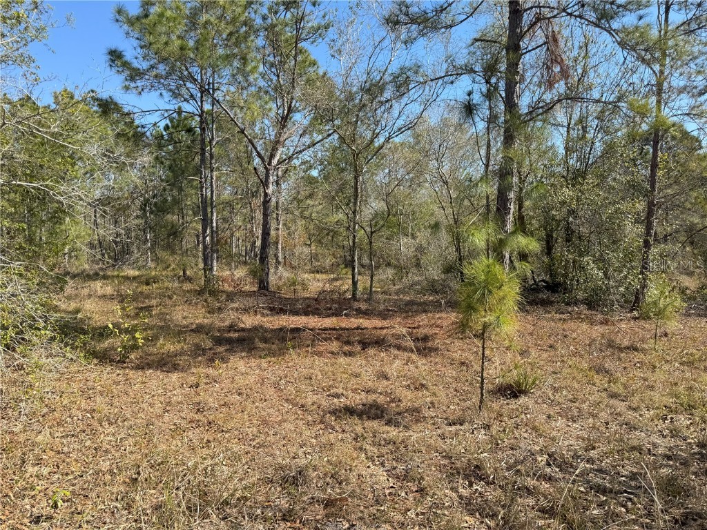 0 Lake Buffum Road Lake Wales FL 33859 TB8438499 image9