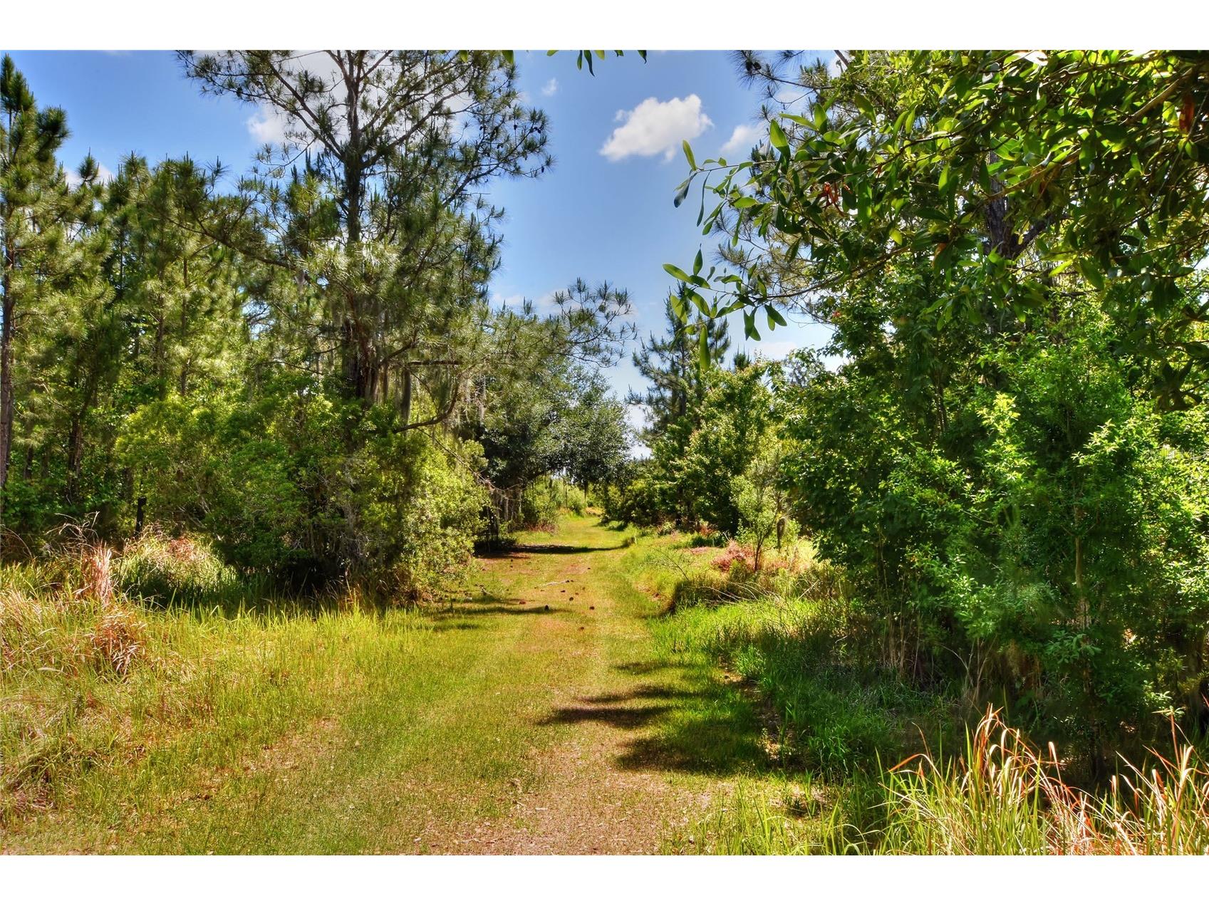 0 Lake Buffum Road W Fort Meade FL 33841 TB8506206 image10