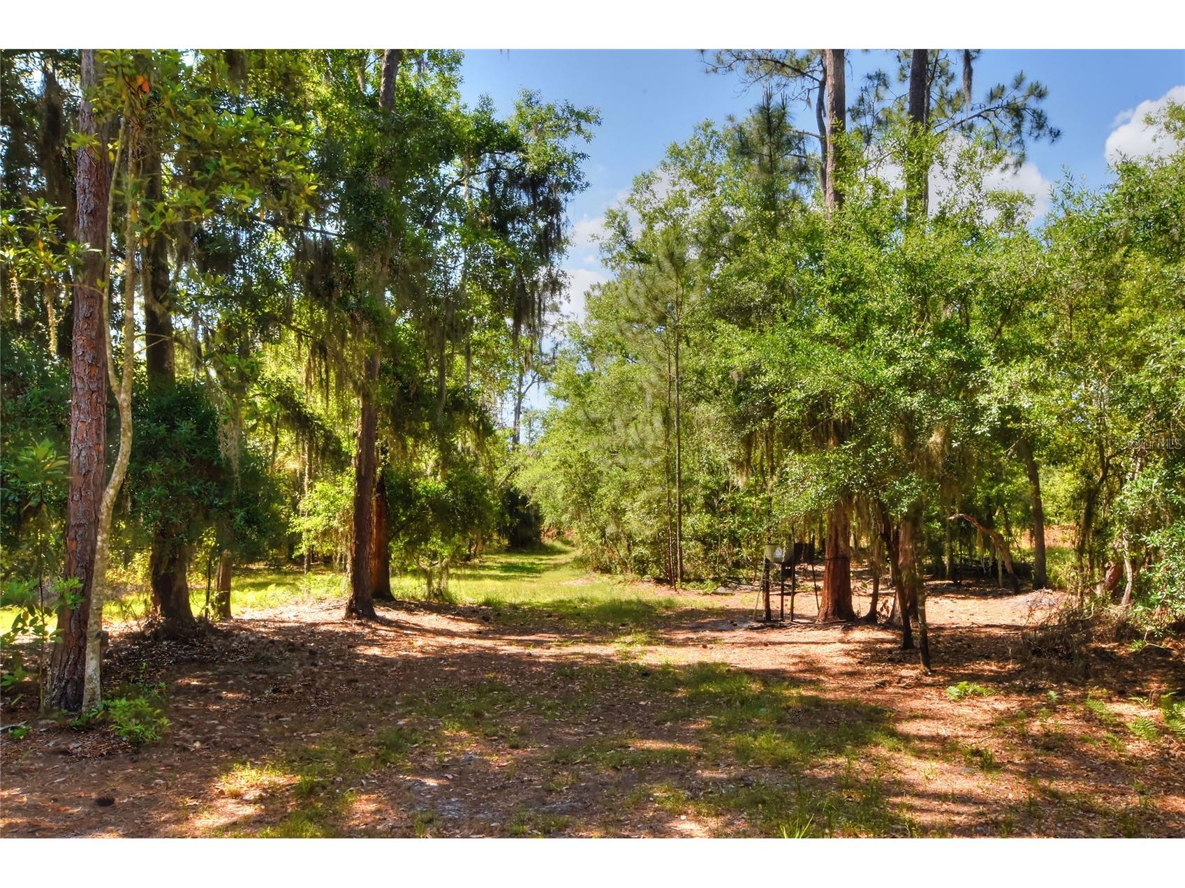 0 Lake Buffum Road W Fort Meade FL 33841 TB8506206 image11
