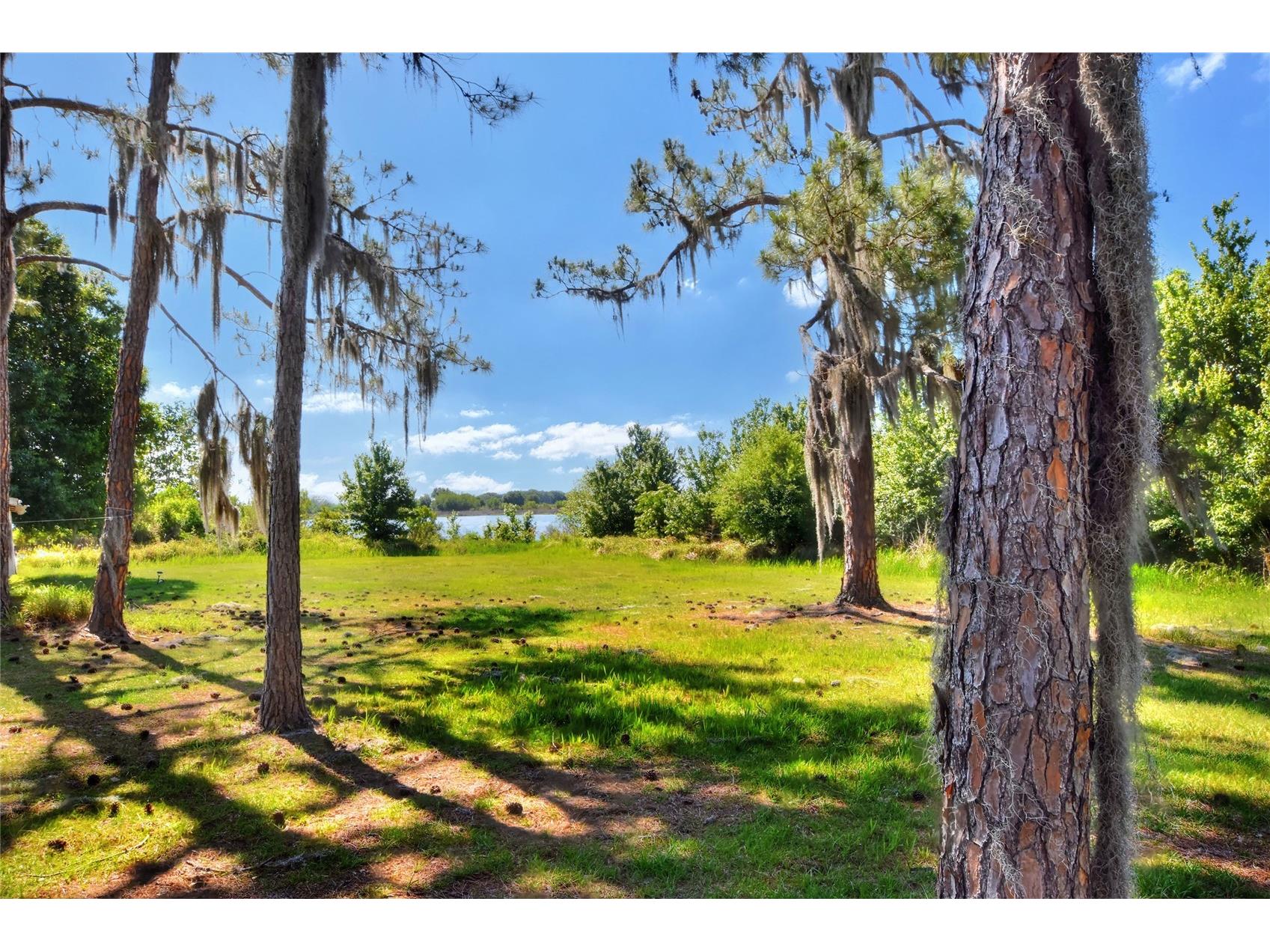 0 Lake Buffum Road W Fort Meade FL 33841 TB8506206 image2