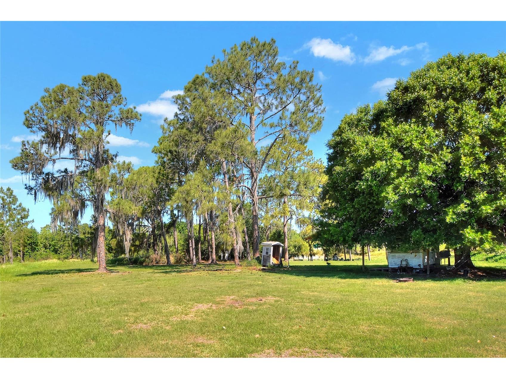 0 Lake Buffum Road W Fort Meade FL 33841 TB8506206 image5