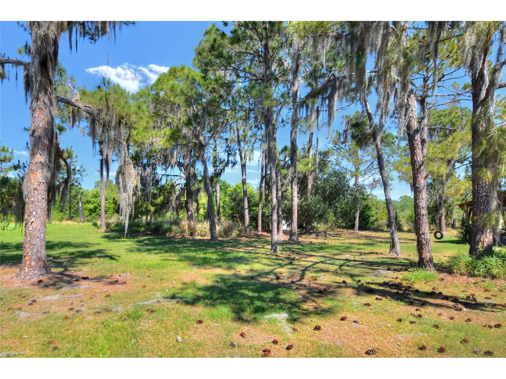 0 Lake Buffum Road W Fort Meade FL 33841 TB8506206 image6