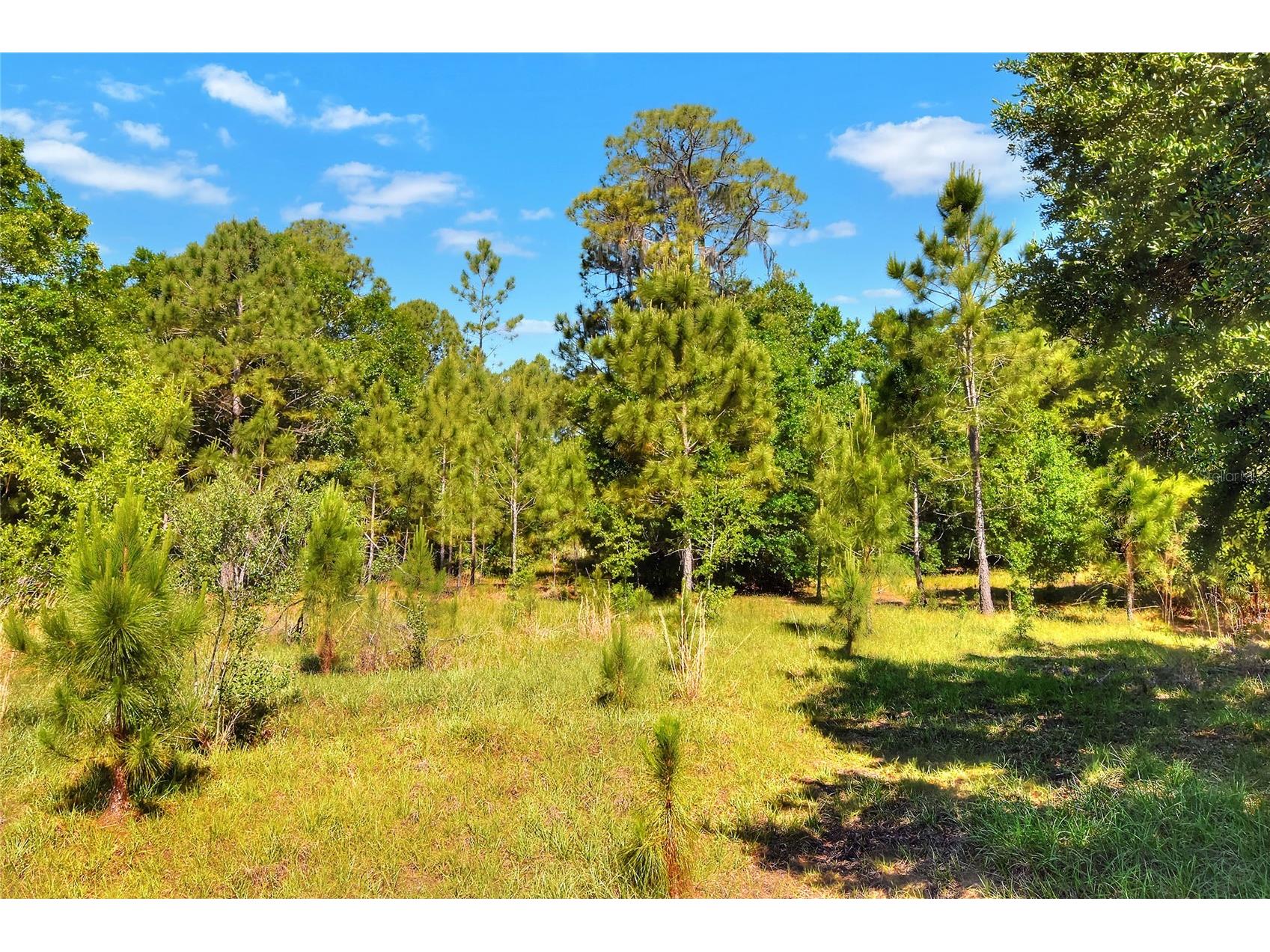 0 Lake Buffum Road W Fort Meade FL 33841 TB8506206 image8