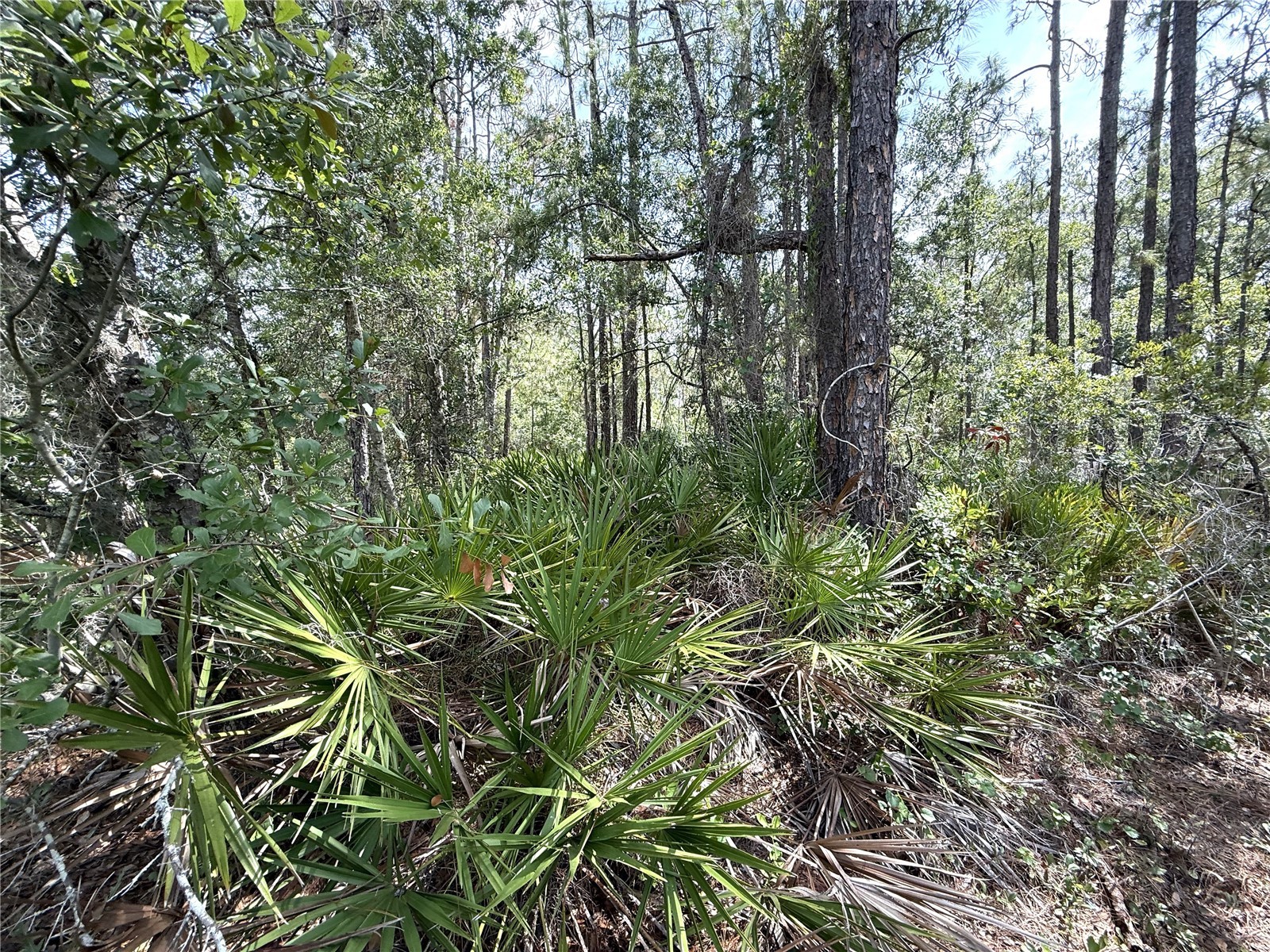 0 Lake Caloosa Landing Frostproof FL 33843 K4903572 image6