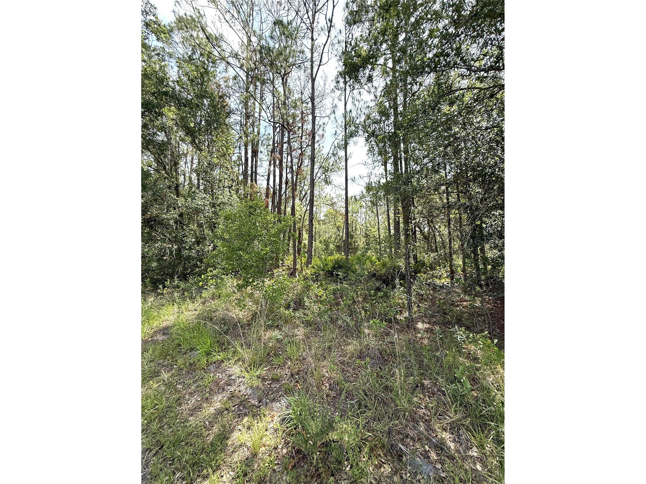 0 Lake Caloosa Landing Frostproof FL 33843 K4903572 image7