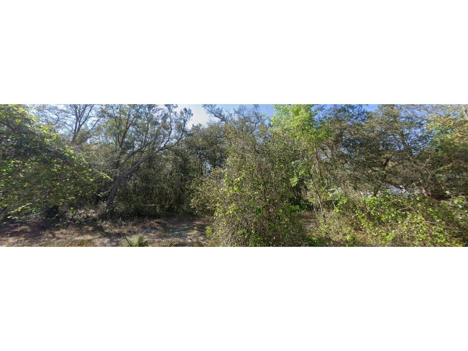 0 Lake Drive Eustis FL 32736 O6332617 image4