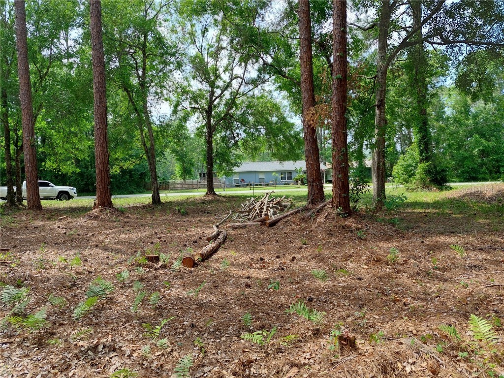 0 Lake Drive New Port Richey FL 34654 - Moon Lake W7853953 image1