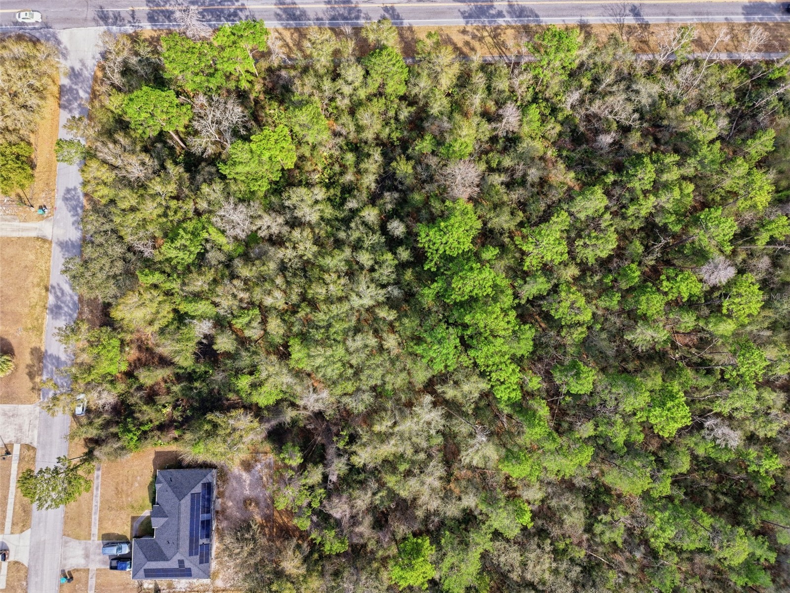 0 Lake Helen Osteen Road Deltona FL 32738 V4947590 image12