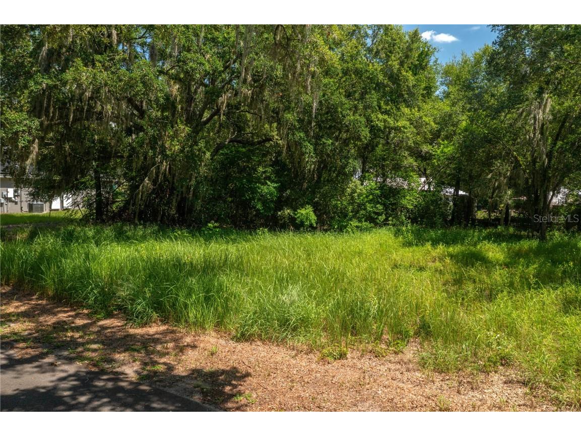 0 Lake Street Haines City FL 33844 P4935496 image1