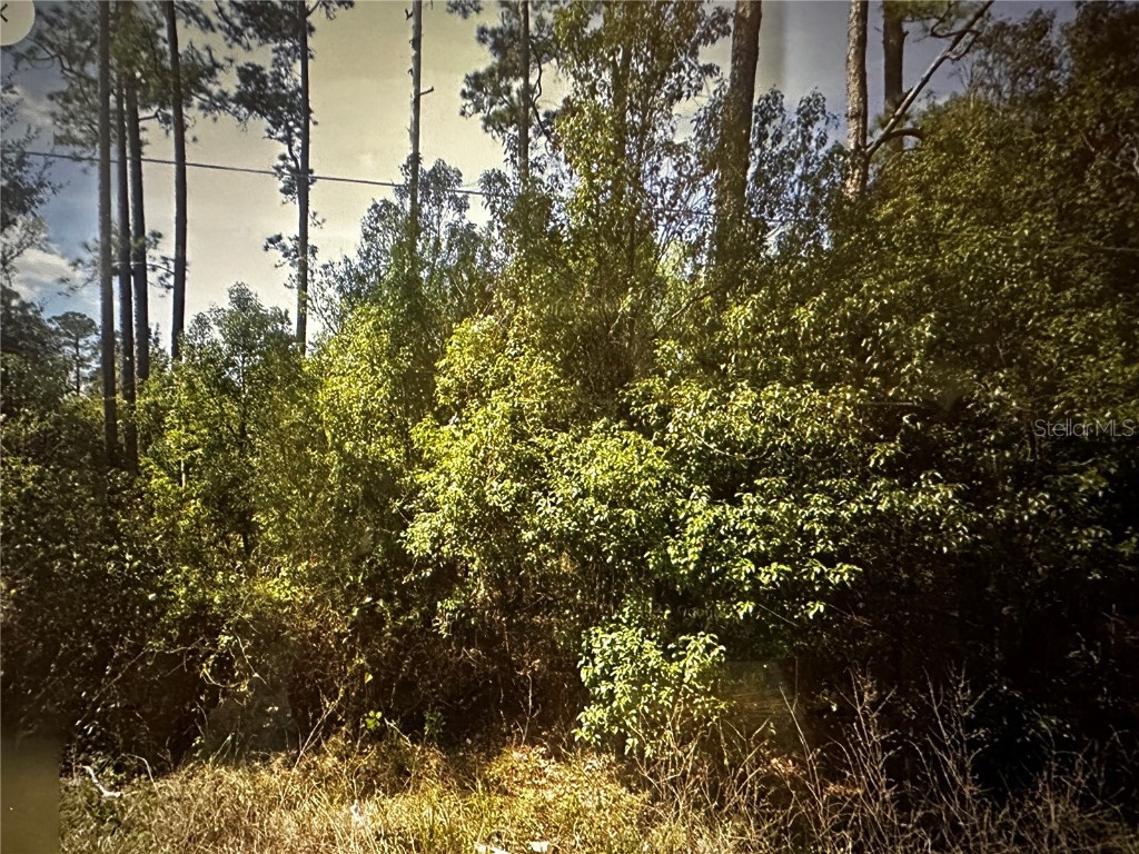 0 Lake Street Paisley FL 32767 G5075353 image1