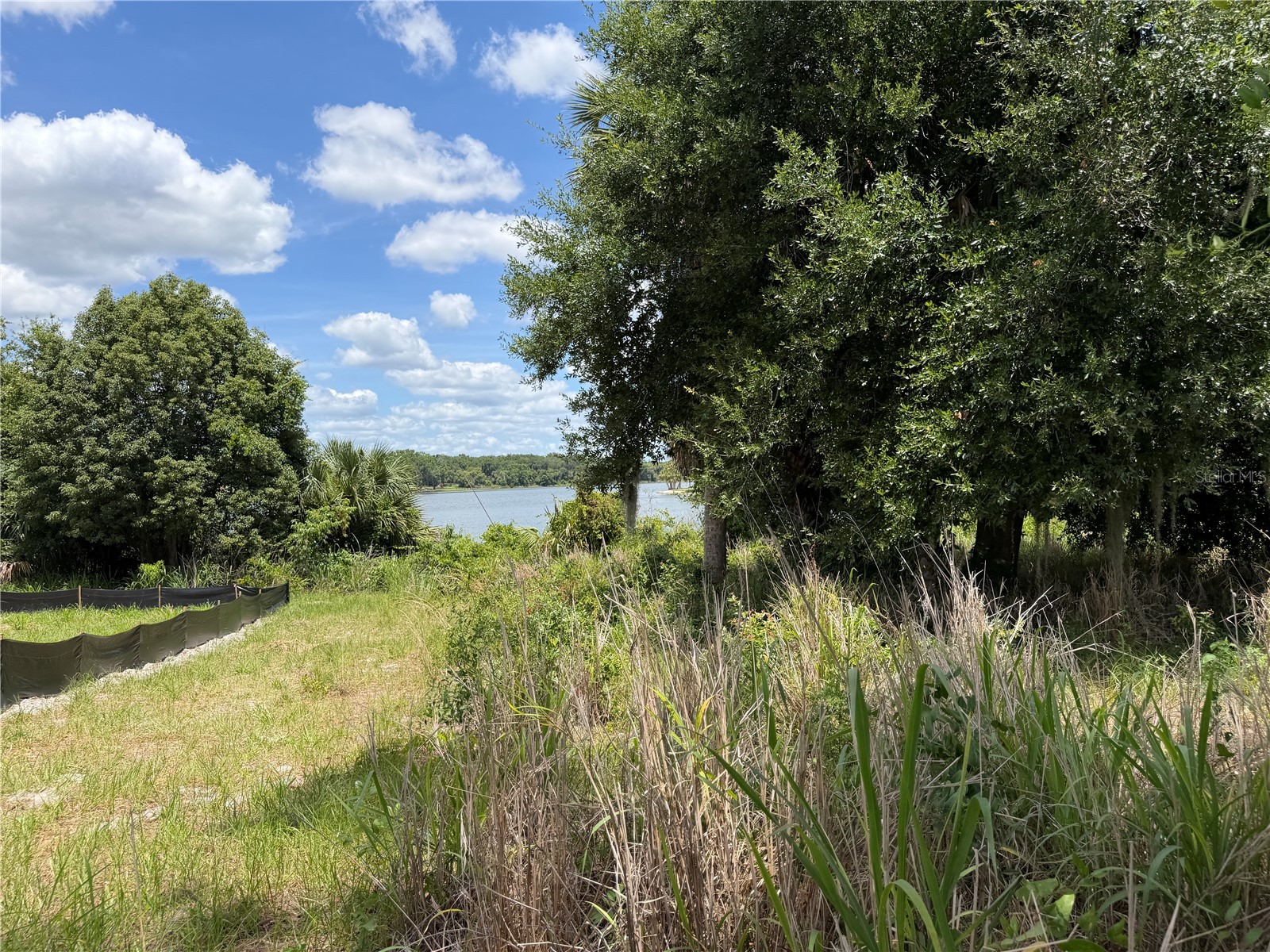 0 Lakeview Street Umatilla FL 32784 - LAKE UMATILLA O6417784 image10