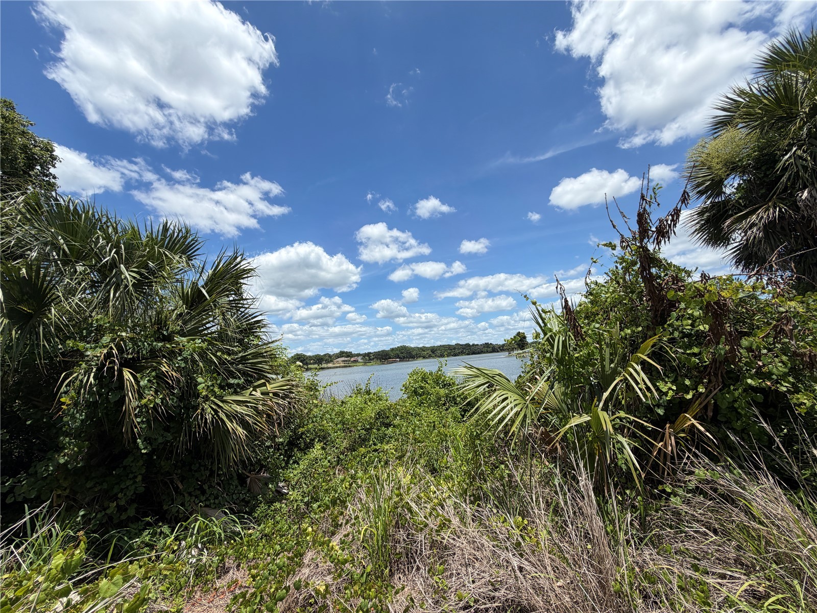0 Lakeview Street Umatilla FL 32784 - LAKE UMATILLA O6417784 image11