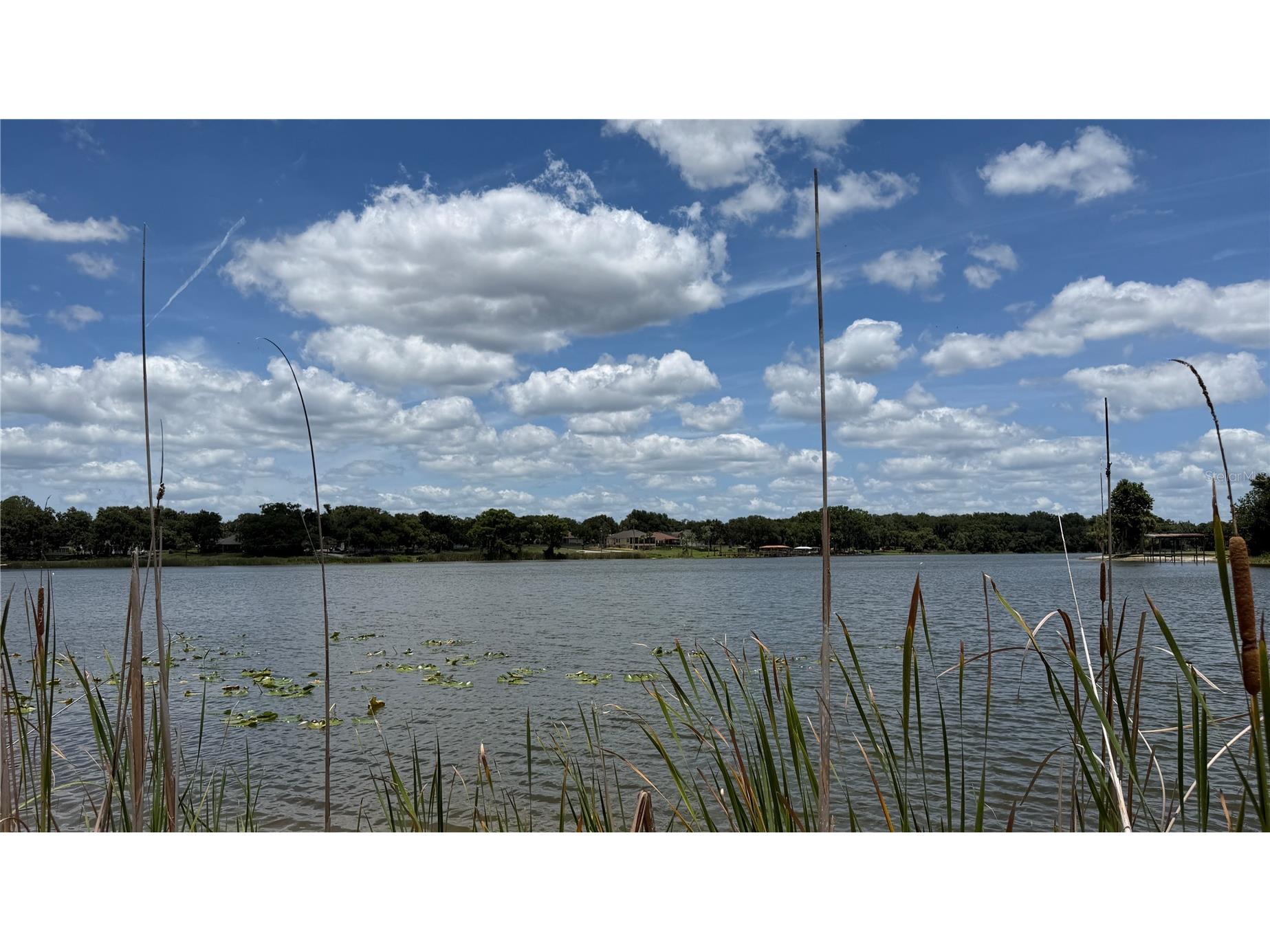 0 Lakeview Street Umatilla FL 32784 - LAKE UMATILLA O6417784 image14