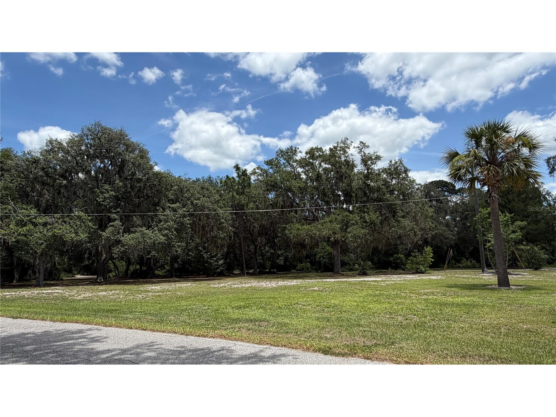 0 Lakeview Street Umatilla FL 32784 - LAKE UMATILLA O6417784 image8