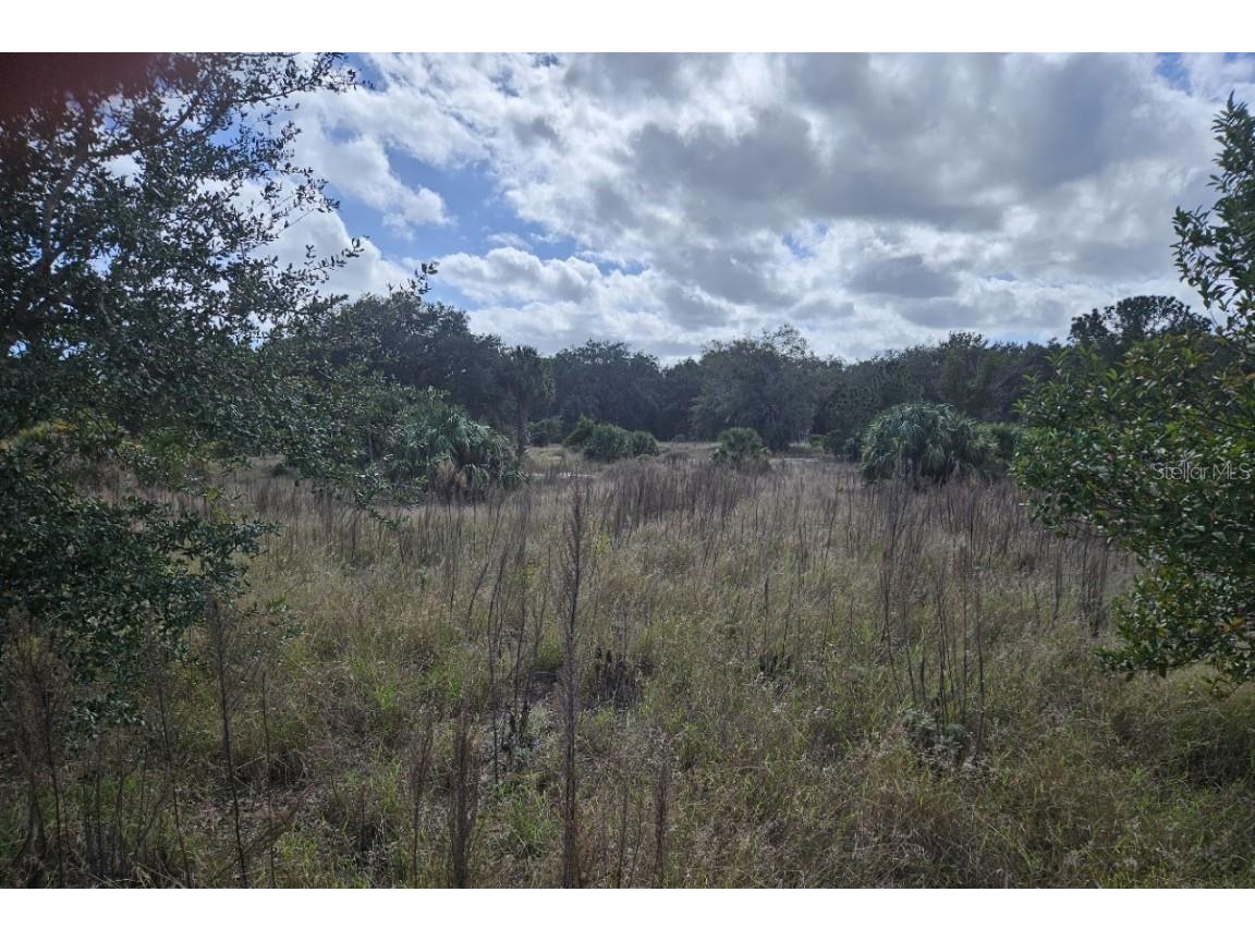 0 Lane Park Road Tavares FL 32778 J972944 image1