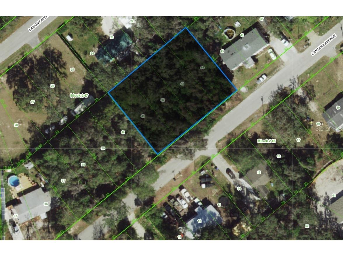 0 Lantana Avenue New Port Richey FL 34654 TB8449473 image1