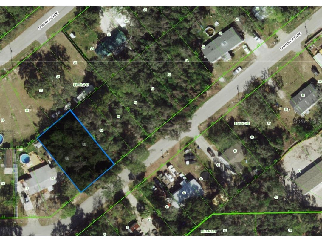 0 Lantana Avenue New Port Richey FL 34654 TB8449473 image2