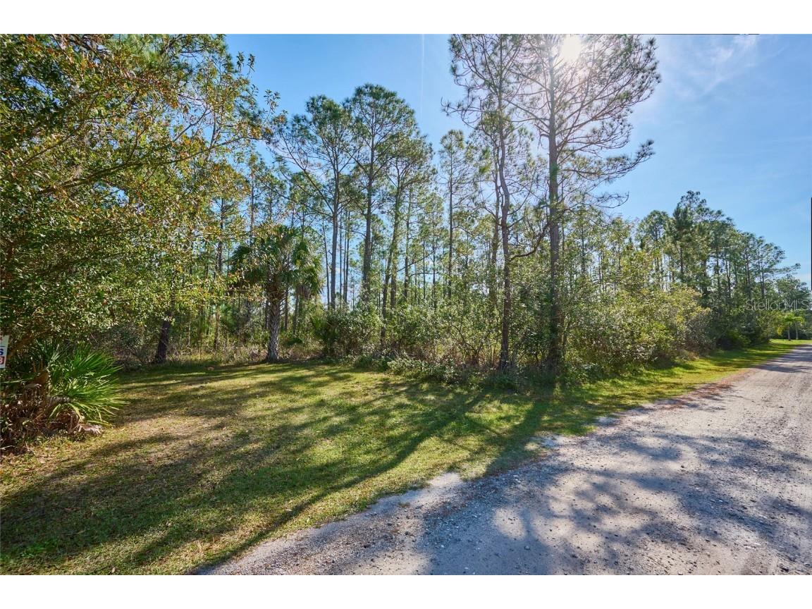 0 Lantana Drive Indian Lake Estates FL 33855 - LAKE WALK IN WATER T3375338 image1