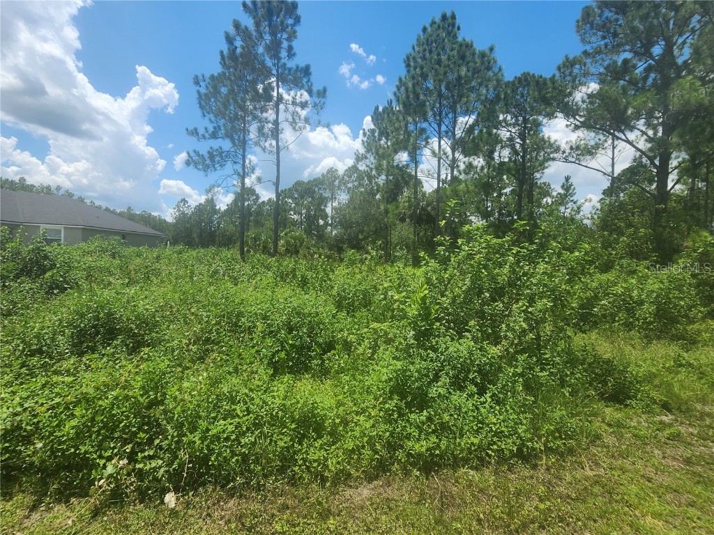 0 Lantana Drive S Indian Lake Estates FL 33855 - WALK-IN-WATER O6131875 image1