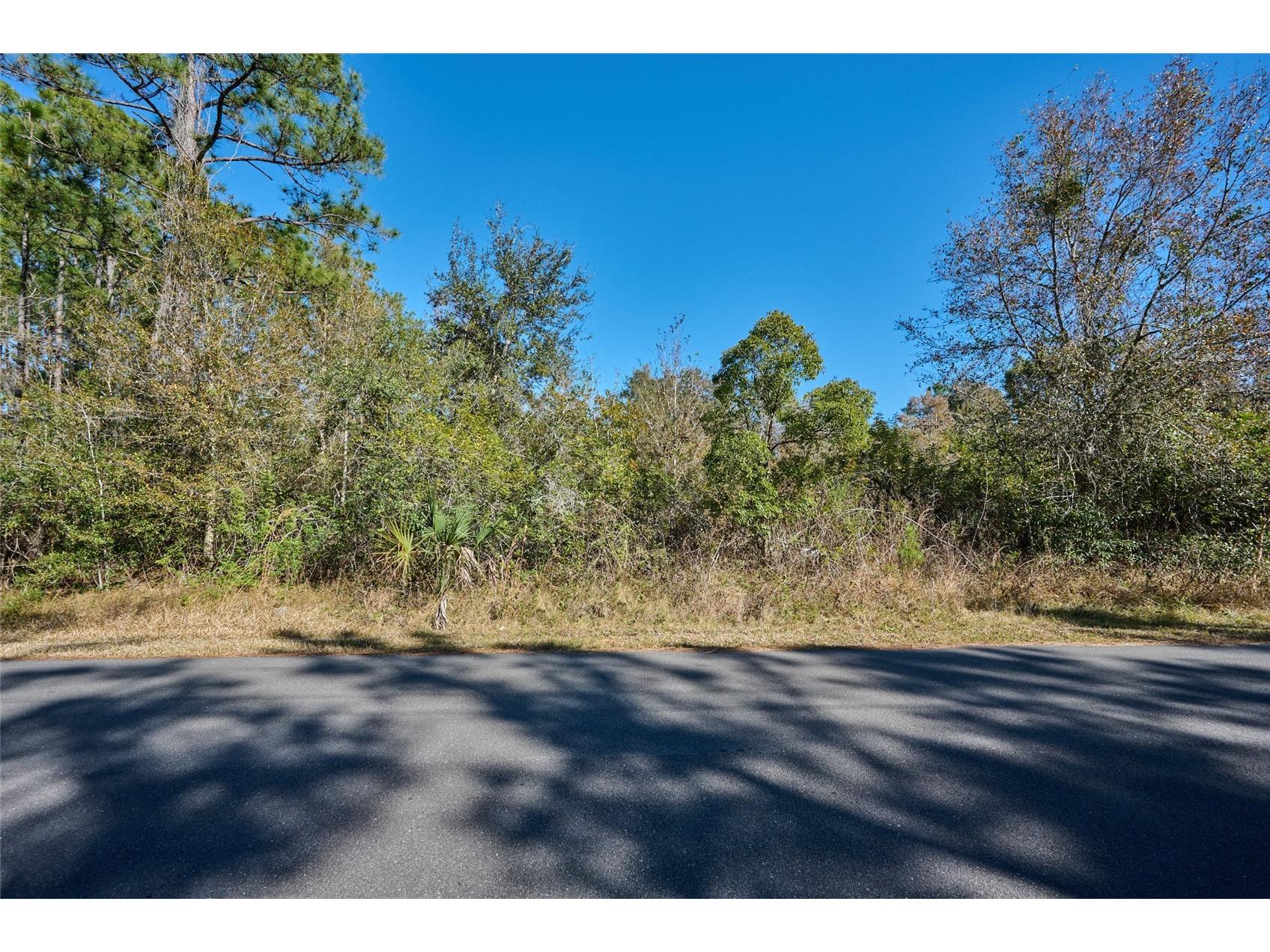 0 Lantana Drive S Indian Lake Estates FL 33855 TB8472619 image1