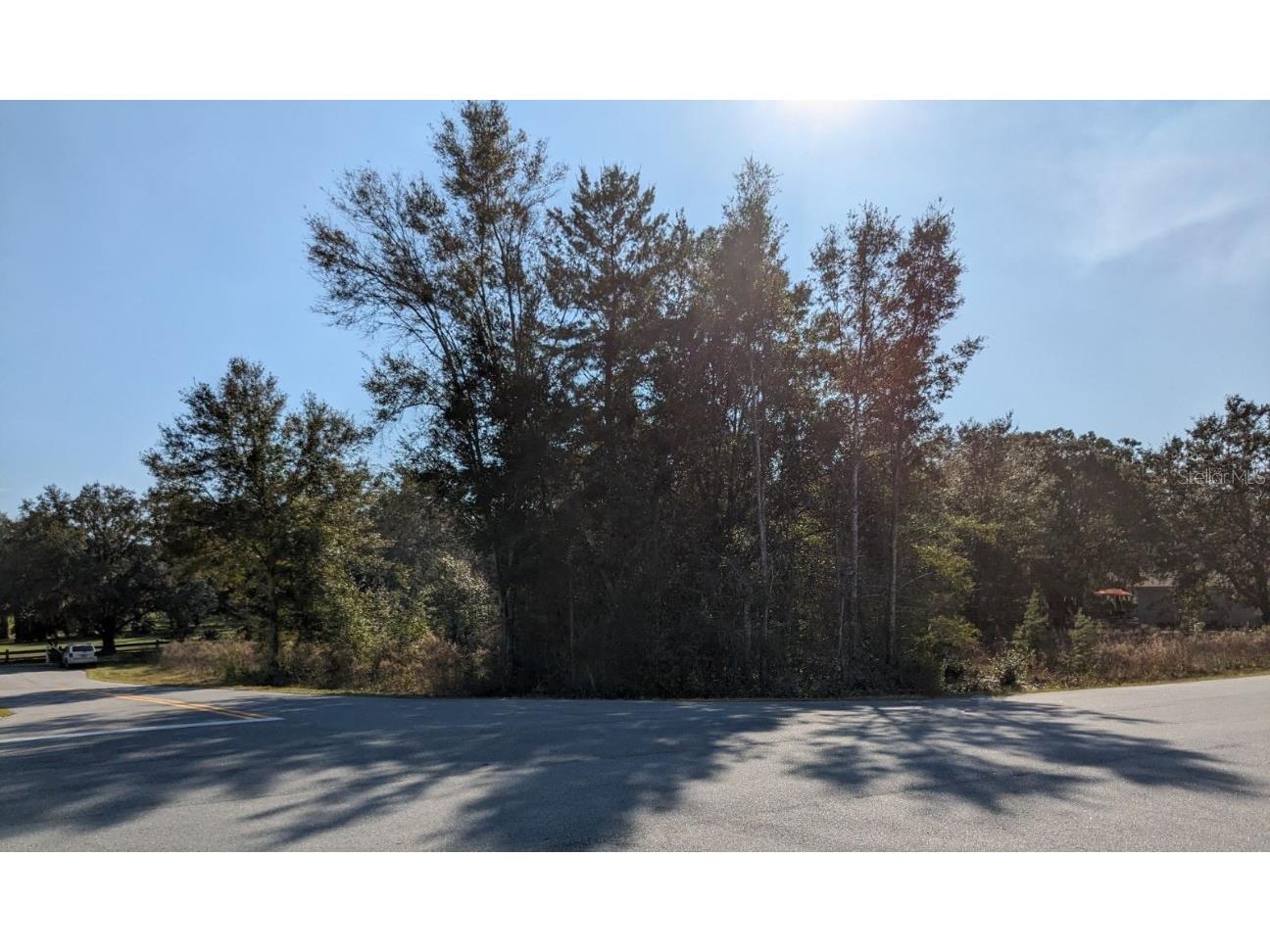 0 Larch Course Ocala FL 34480 T3502718 image1