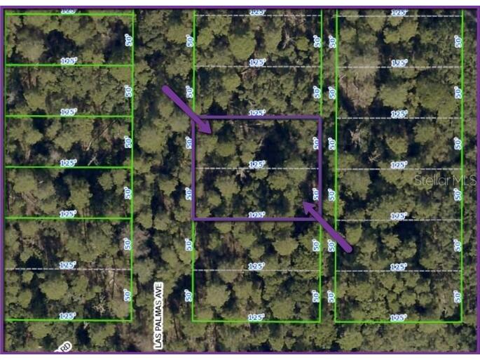 0 Las Palmas Avenue #LOT 11 & 12 Spring Hill FL 34606 O6399012 image1