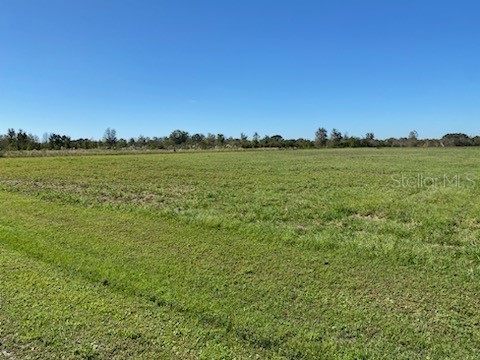 0 Laurel Lane Fort Meade FL 33841 B4901745 image1