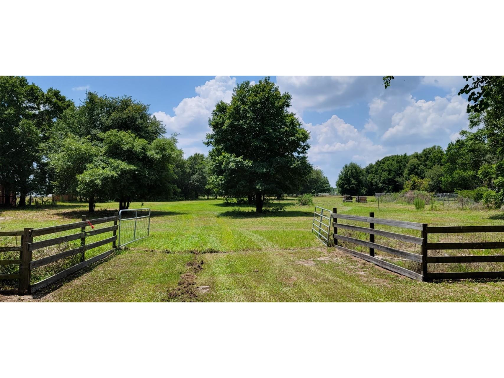 0 Lewis Gallagher Road Dover FL 33527 T3375168 image1