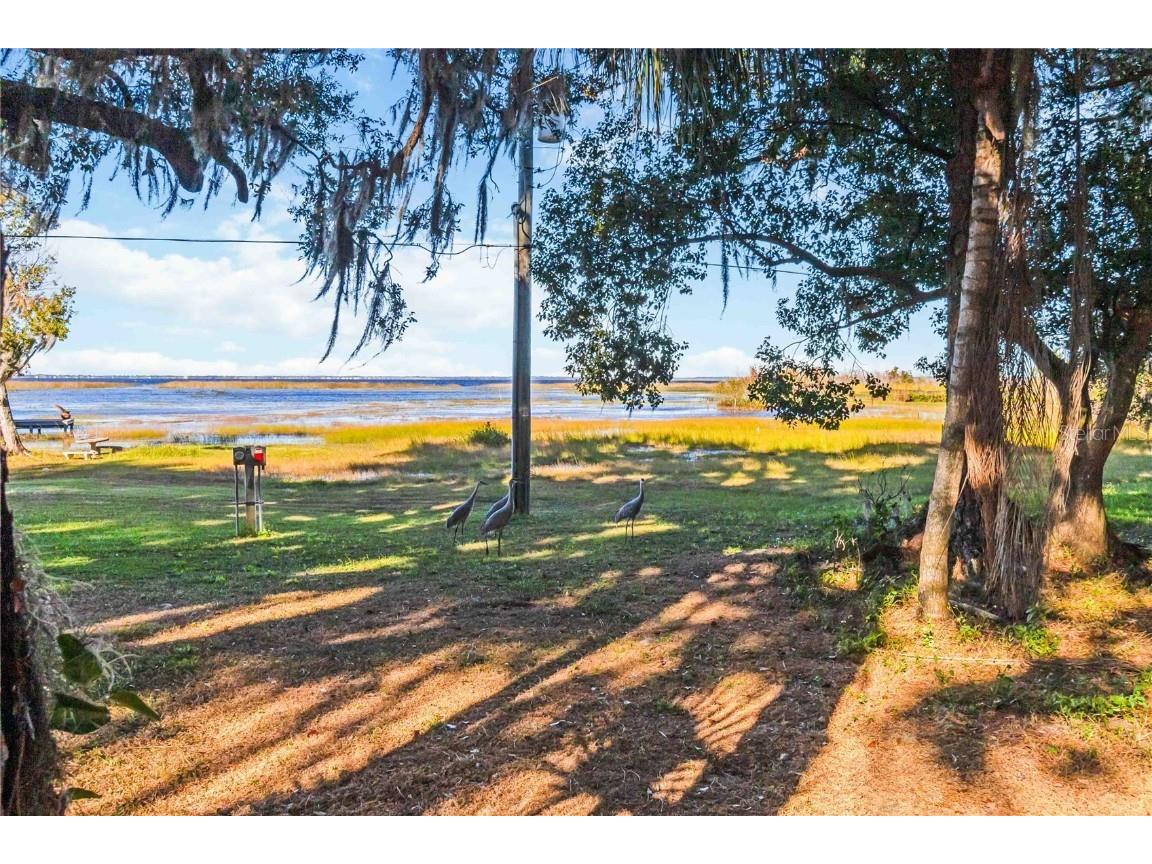 0 Lillian Black Road Saint Cloud FL 34771 O6363235 image8