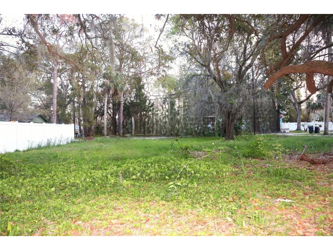 0 Limestone Drive Port Richey FL 34668 TB8446456 image1