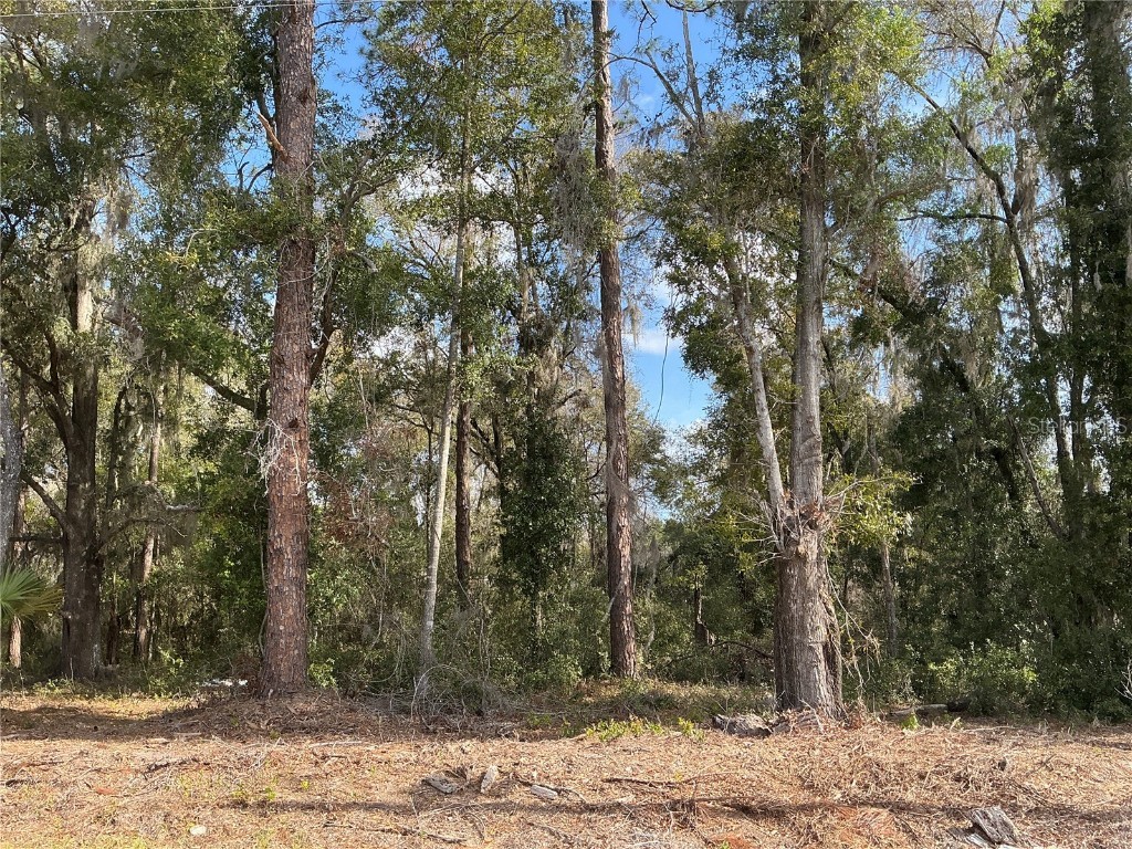 0 Locust Drive Ocala FL 34472 OM699257 image1