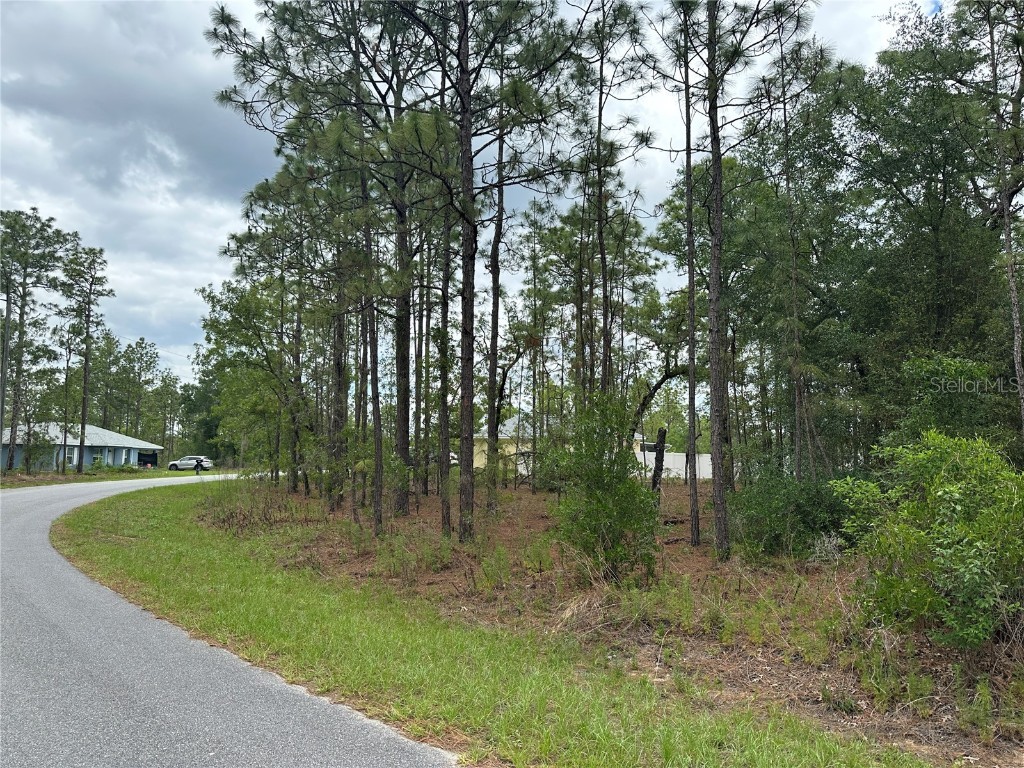 0 Locust Lane Drive Ocala FL 34472 OM658052 image1