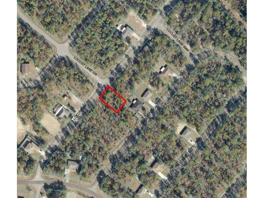 0 Locust Lane #LOT 8 Ocala FL 34472 OM665158 image1