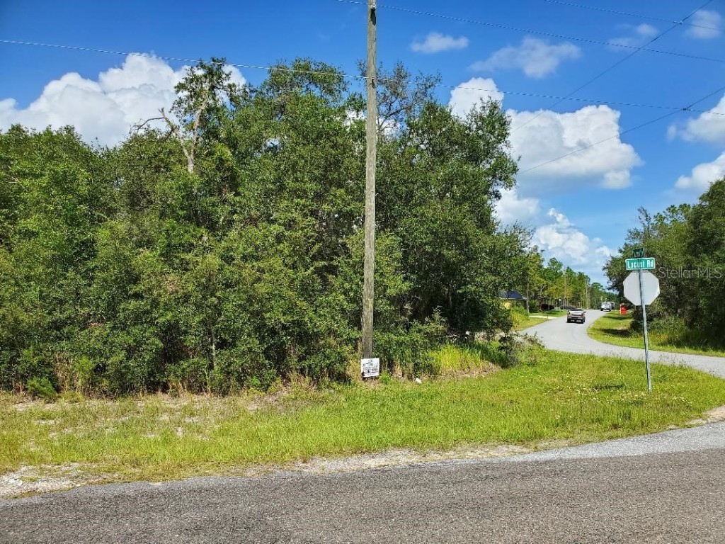 0 Locust Lane Ocala FL 34472 OM666614 image1