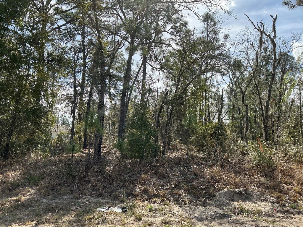 0 Locust Loop Course Ocala FL 34472 OM699284 image1
