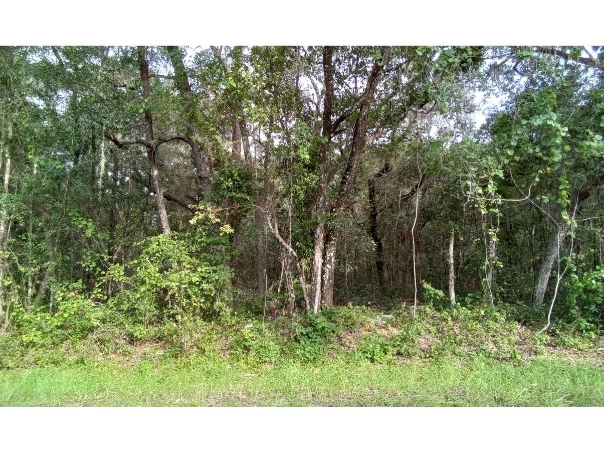 0 Locust Loop Ocala FL 34472 O6143350 image1