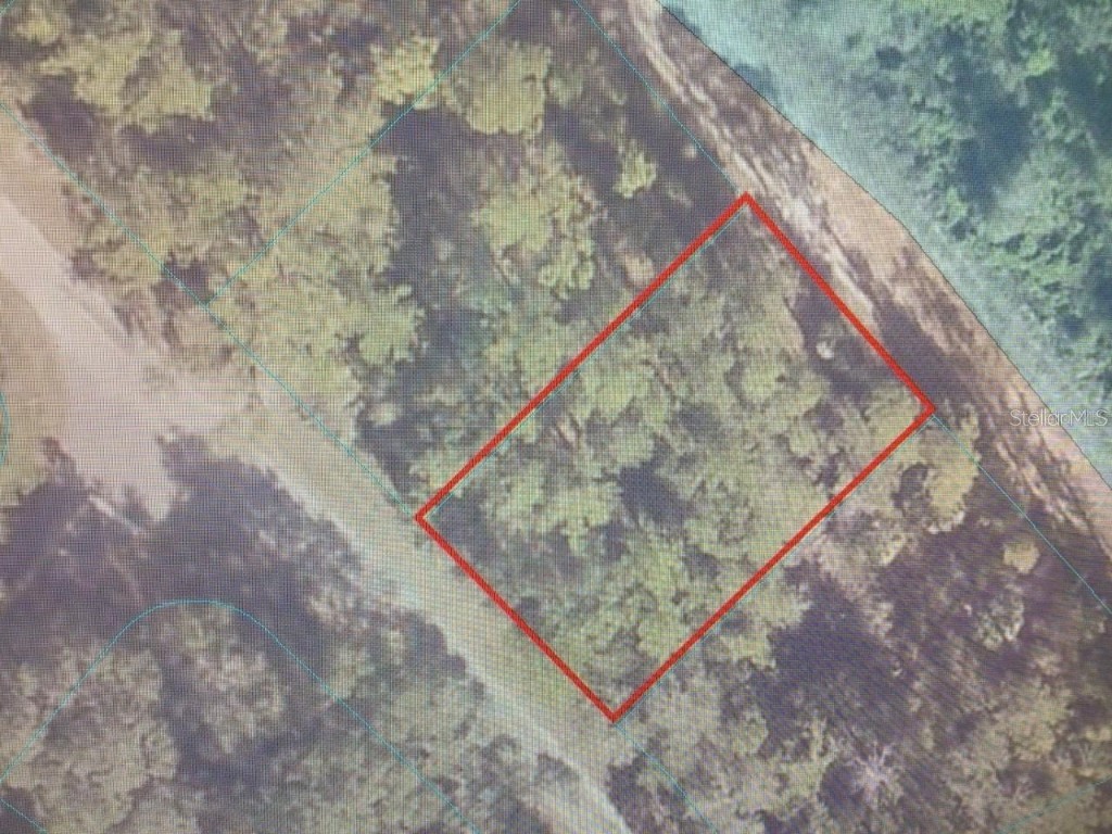 0 Locust Loop Ocala FL 34472 OM668420 image1